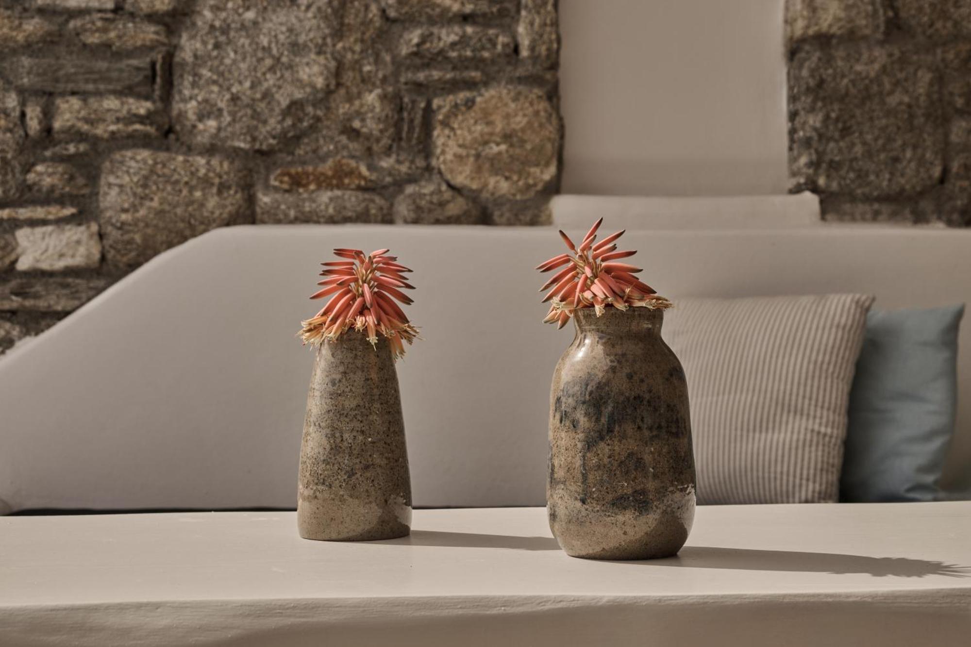 Hotel Balius Mykonos 5*